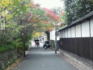 これが京都！
